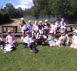 Kinder und Hunde entspannen sich auf Bänken im Tierheim Siegen.