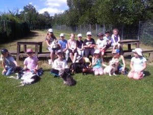 Kids & Dogs - Minis (5-6 Jahre) @ Tierheim Siegen | Siegen | Nordrhein-Westfalen | Deutschland