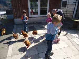 Kinder und ein Erwachsener füttern braune Hühner draußen im Tierheim Siegen.