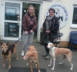 Zwei Frauen mit drei angeleinten Hunden vor dem Tierheim Siegen.