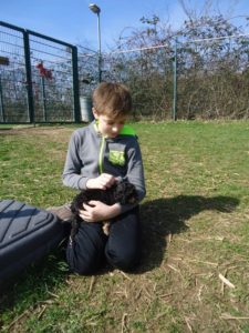 Ein Junge kniet im Gras und streichelt einen kleinen schwarz-braunen Welpen.