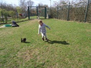 Mädchen rennt im Gras, während ein kleiner schwarzer Hund sie im Tierheim Siegen jagt.