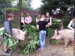 Rund um den Bauernhof 2023 - für Grundschüler @ Tierheim Siegen | Siegen | Nordrhein-Westfalen | Deutschland