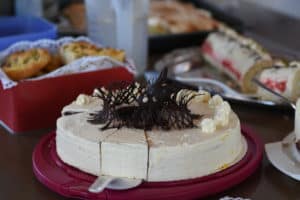 Offener Sonntag @ Tierheim Siegen | Siegen | Nordrhein-Westfalen | Deutschland