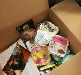 Offene Schachtel mit Katzenfutter, Notiz und Foto einer schwarzen Katze.