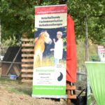 Tierheim Siegen Tiertherapie-Banner am grünen Tisch im Freien.