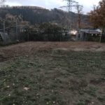 Schlammiger, eingezäunter Hof mit spärlichem Gras, Bäumen und einem entfernten Turm in der Abenddämmerung.