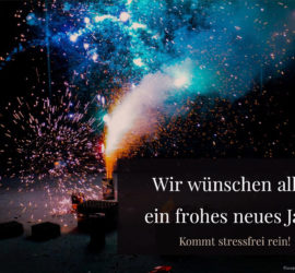 Feuerwerk am Nachthimmel mit deutschem Neujahrsgruß für das Tierheim Siegen.