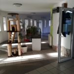 Kratzbaum, Aquarium und Pflanze im hellen Flur des Tierheims Siegen.