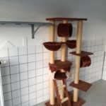 Brauner Kratzbaum mit Kratzbäumen im gefliesten Zimmer.