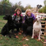 Zwei Frauen knien mit drei Hunden vor dem Tierheim Siegen.