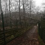 Umgestürzter Baum blockiert schlammigen Weg in der Nähe der Zäune des Tierheims Siegen.
