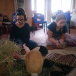 Kinder füttern im Tierheim Siegen Kaninchen mit Heu.