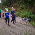 Kinder und zwei Hunde laufen auf einem Kiesweg im Tierheim Siegen.