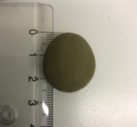 Olivgrüner runder Gegenstand, 2 cm breit, neben einem Lineal.