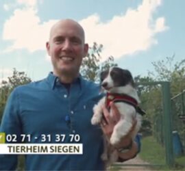 Mann hält schwarz-weißen Welpen im Freien an einem Zaun, Tierheim Siegen Kontaktinfo sichtbar.