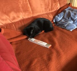 Schwarze Katze auf orangefarbener Couch mit blauer Jacke und UNIPOR-Box.