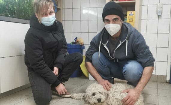 Maskierte Menschen kauern neben einem flauschigen weißen Hund auf dem Boden im Tierheim Siegen.