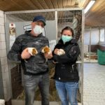 Maskierte Menschen halten Meerschweinchen im Tierheim Siegen.