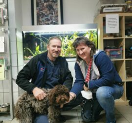 Zwei Menschen knien neben einem Hund mit lockigem Fell im Tierheim Siegen.