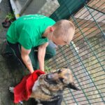 Ein Mensch trocknet einen glücklichen deutschen Schäferhund mit einem roten Handtuch ab.