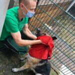 Maskierte Person trocknet nassen Hund mit rotem Handtuch im Tierheim Siegen ab.