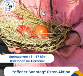 Kind in rosafarbenem Mantel hält Nest mit roten Eiern; Veranstaltungshinweis sichtbar.