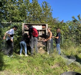 Fünf Personen bauen im Tierheim Siegen ein Insektenhotel im Freien.