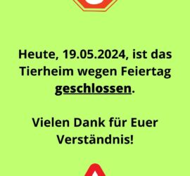 Stopp- und Warnsymbole: Tierheim Siegen geschlossen 19.05.2024.