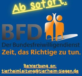 BFD Bundesfreiwilligendienst jetzt im Tierheim Siegen.