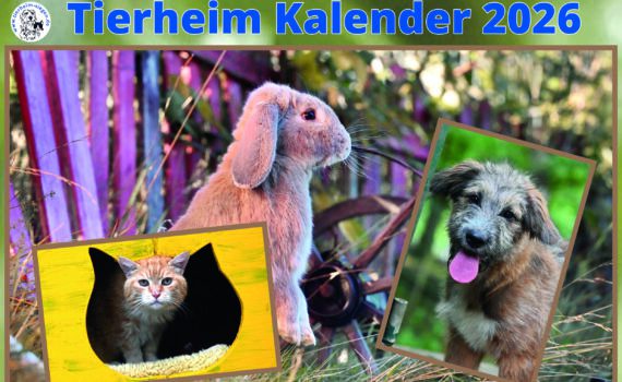 Das Tierheim Siegen