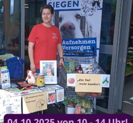 Frau am Stand des Tierheims Siegen mit Heimtierbedarf; Veranstaltung 04.10.2025, 10-14 Uhr gezeigt.