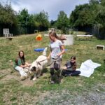 Drei Mädchen und ein Hund spielen im Tierheim Siegen auf der Wiese bei den Agility-Geräten.