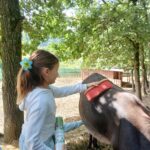 Mädchen bürstet ein großes Schwein im Freien bei Bäumen im Tierheim Siegen.