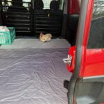 Ein Huhn sitzt auf einer Matte auf dem offenen Rücksitz eines roten Fahrzeugs.