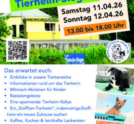 Frühlingsfest-Flyer im Tierheim Siegen mit Tieren und Terminen.