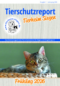 Tierheim Siegen Magazin: getigerte Katze im Korb, Frühling 2026.