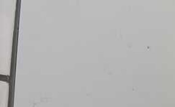 Eine getigerte Katze späht aus einer kleinen Wandöffnung, eine Pfote heraus.