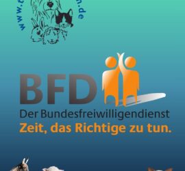 Tierheim Siegen Logo mit Tierdarstellungen und BFD-Slogan.