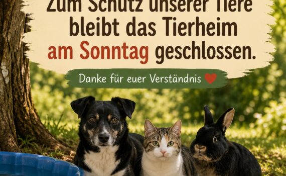 Das Tierheim Siegen
