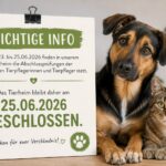Hund und Katze nach Zeichen: Das Tierheim Siegen ist ab dem 25. Juni 2026 geschlossen.