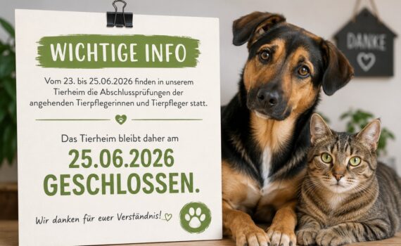 Das Tierheim Siegen