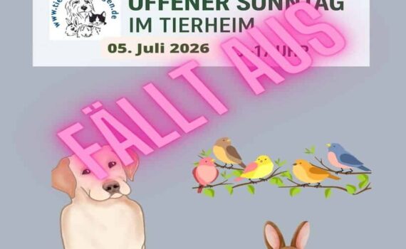 Das Tierheim Siegen