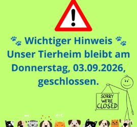 Schild des Tierheims Siegen: geschlossen am 03.09.2026, Cartoon-Haustiere.