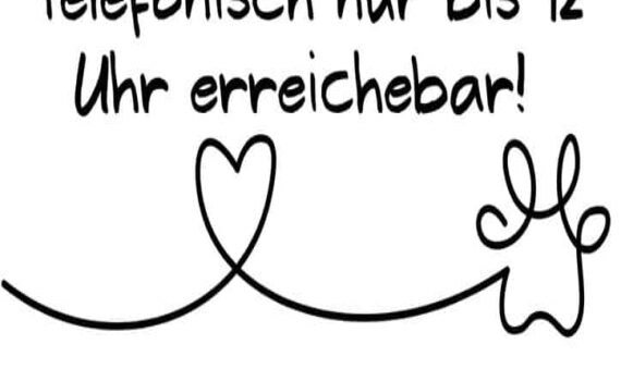 Das Tierheim Siegen