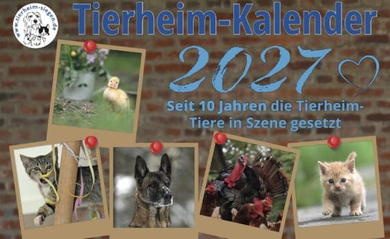 Das Tierheim Siegen