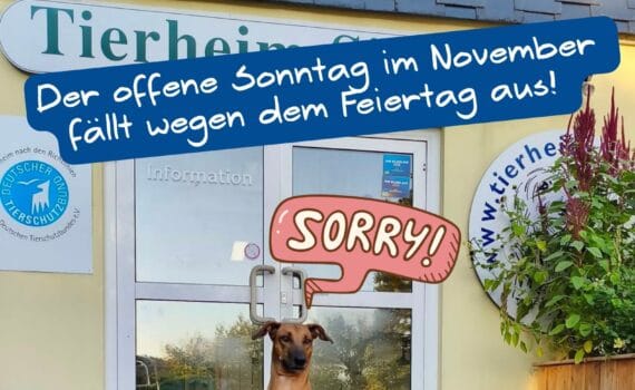 Das Tierheim Siegen