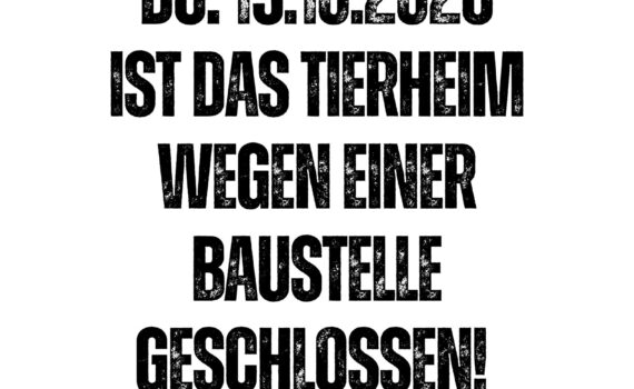 Das Tierheim Siegen