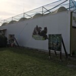 Tierheim Siegen mit Tierpostern und bunten Wimpeln im Außenbereich.