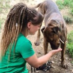 Mädchen mit langen Zöpfen gibt einem braunen Hund draußen ein Leckerli.